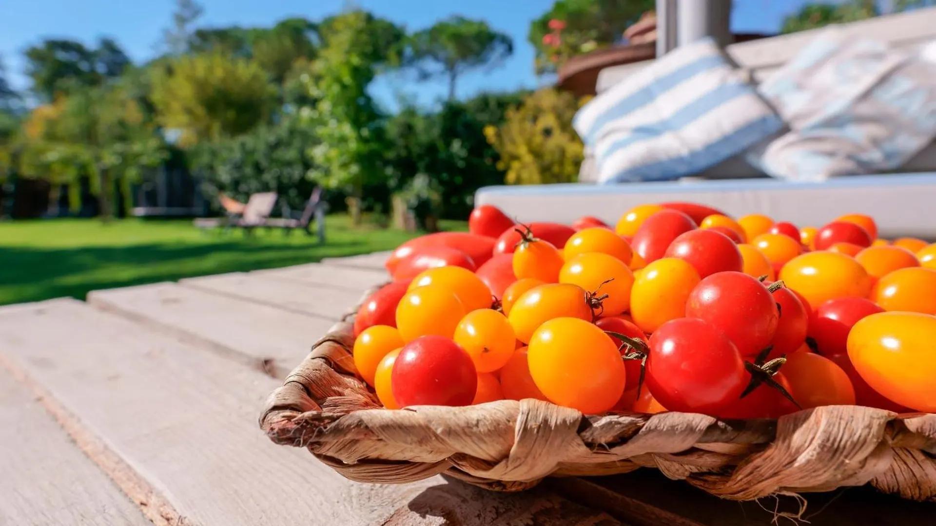 Pixel B&B Ravenna Bed & Breakfast